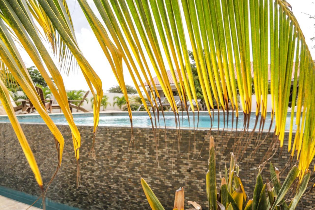 Abc Lodges Curacao Willemstad Extérieur photo