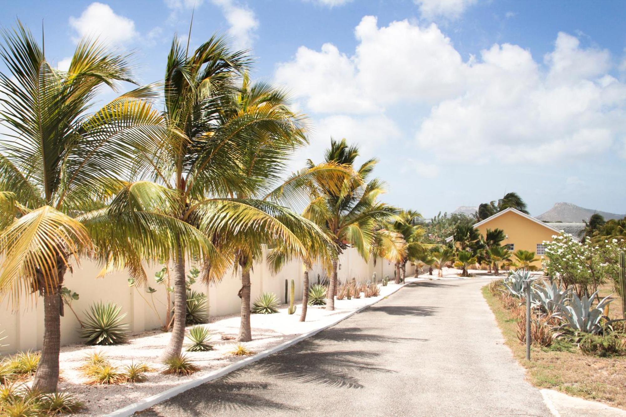 Abc Lodges Curacao Willemstad Extérieur photo