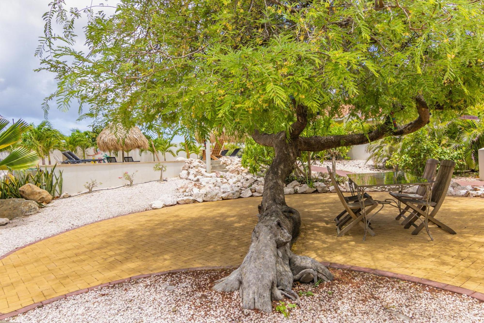 Abc Lodges Curacao Willemstad Extérieur photo